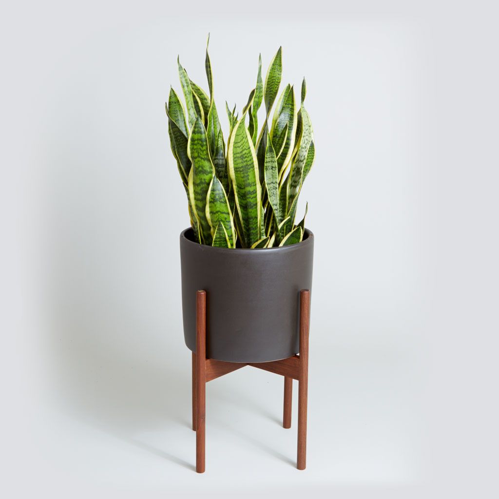 Dominic Pot Planter